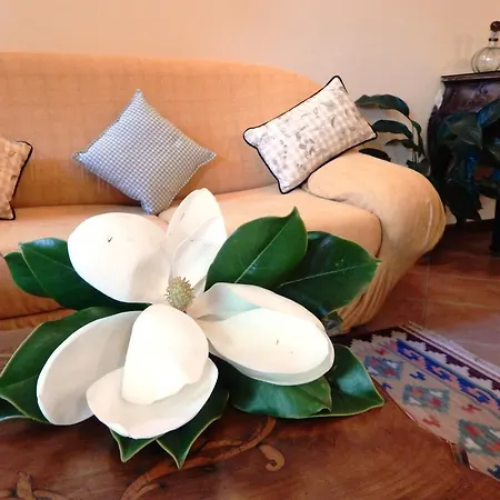 La Siepe Nocleg ze śniadaniem