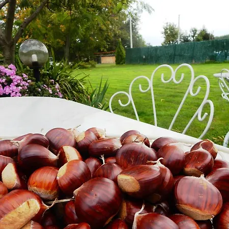 La Siepe Nocleg ze śniadaniem