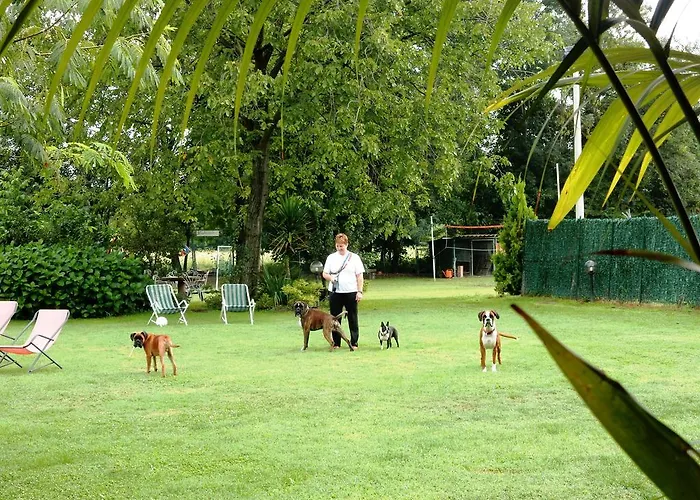 La Siepe 3* Pinerolo