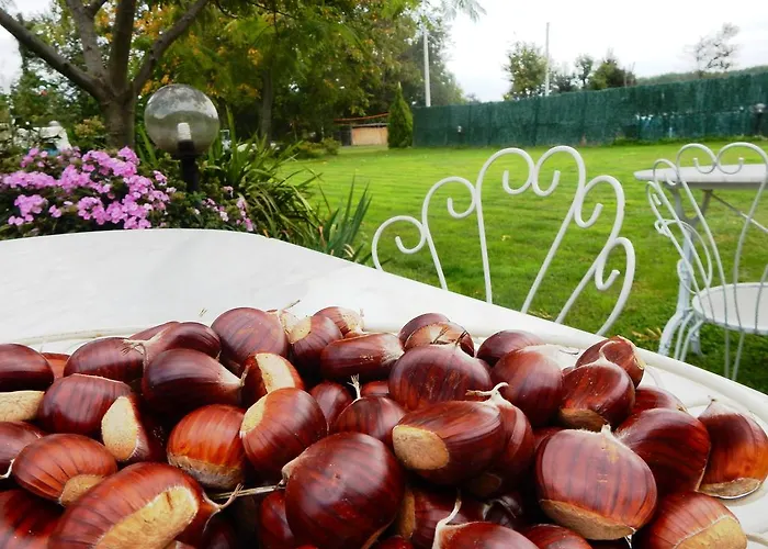 La Siepe Bed & Breakfast