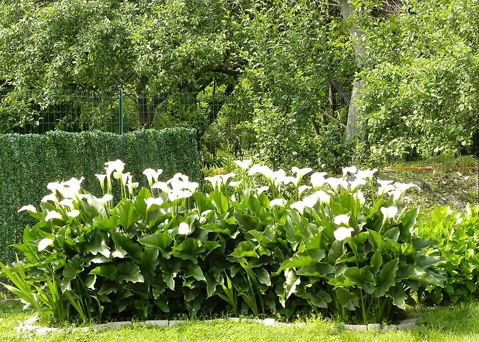 La Siepe Пинероло